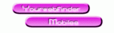 WP Internet Services logo