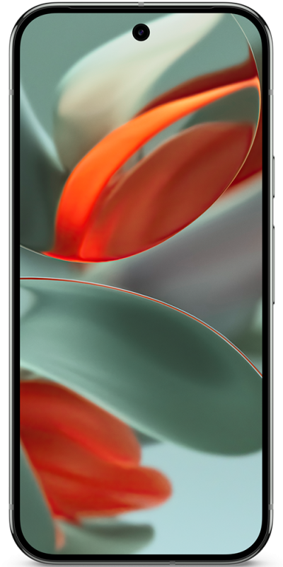 Pixel 9 Pro